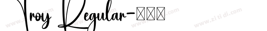 Troy Regular字体转换